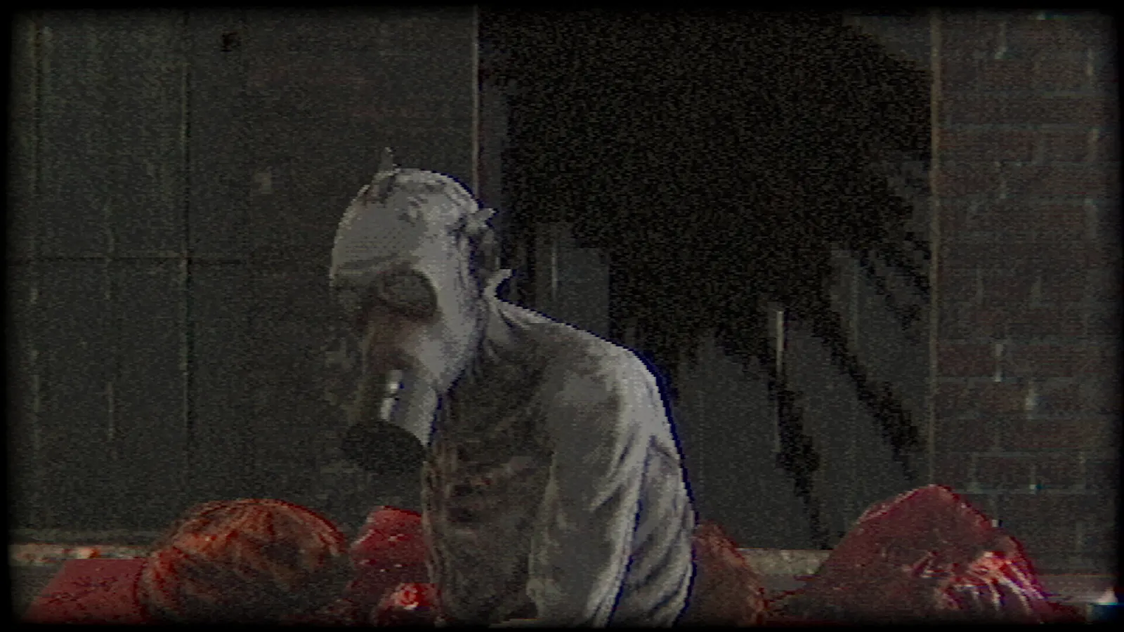 Plastomorphosis media 4