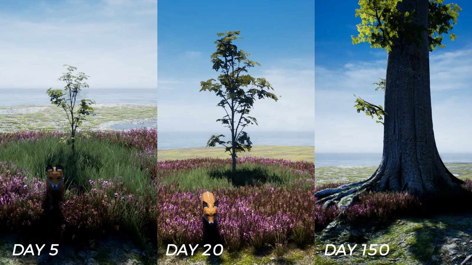 PLAYNE : The Meditation Game media 4