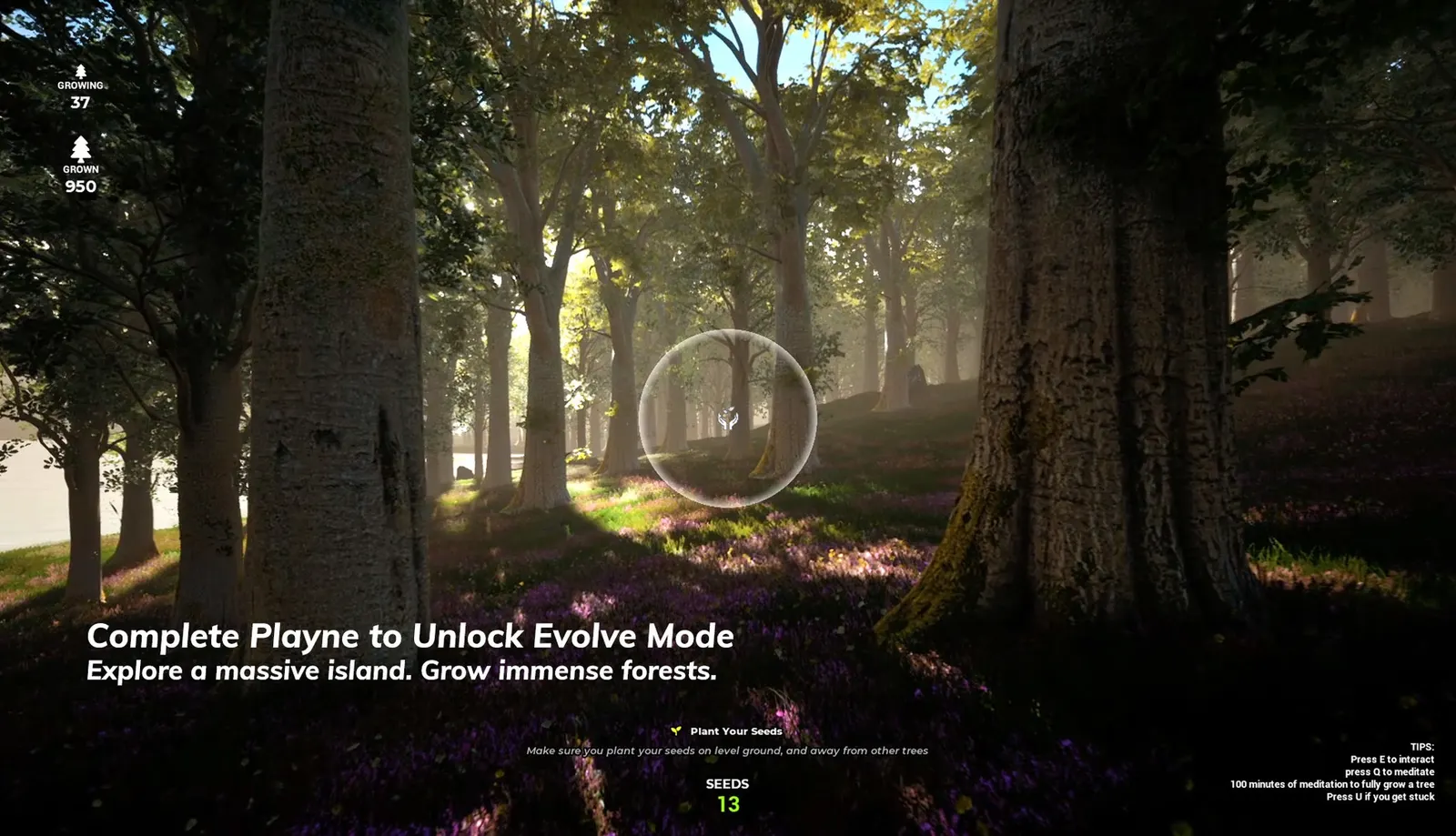 PLAYNE : The Meditation Game media 10