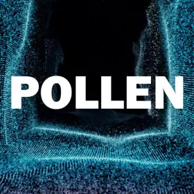 Обкладинка гри Pollen