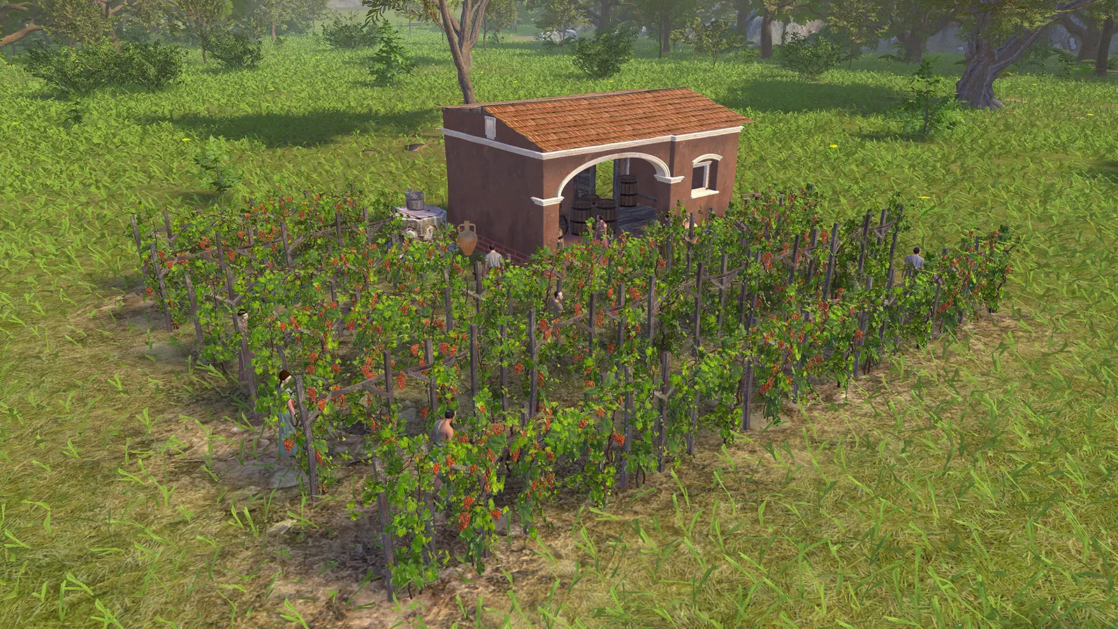 Pompeii: The Legacy media 7