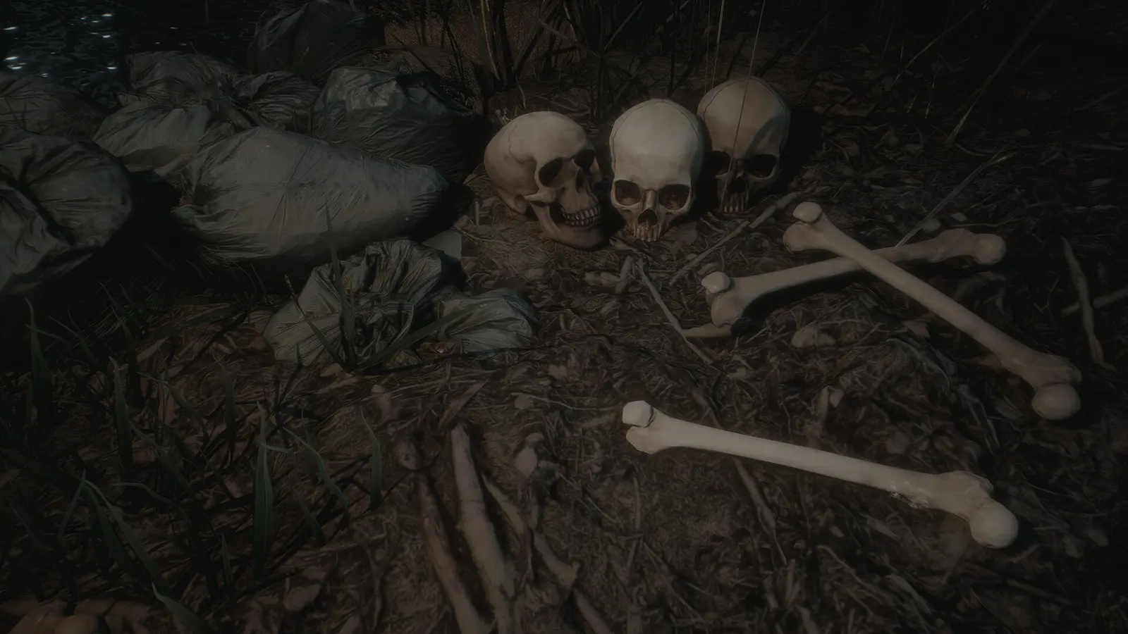Poveglia: The Island of No Return media 11