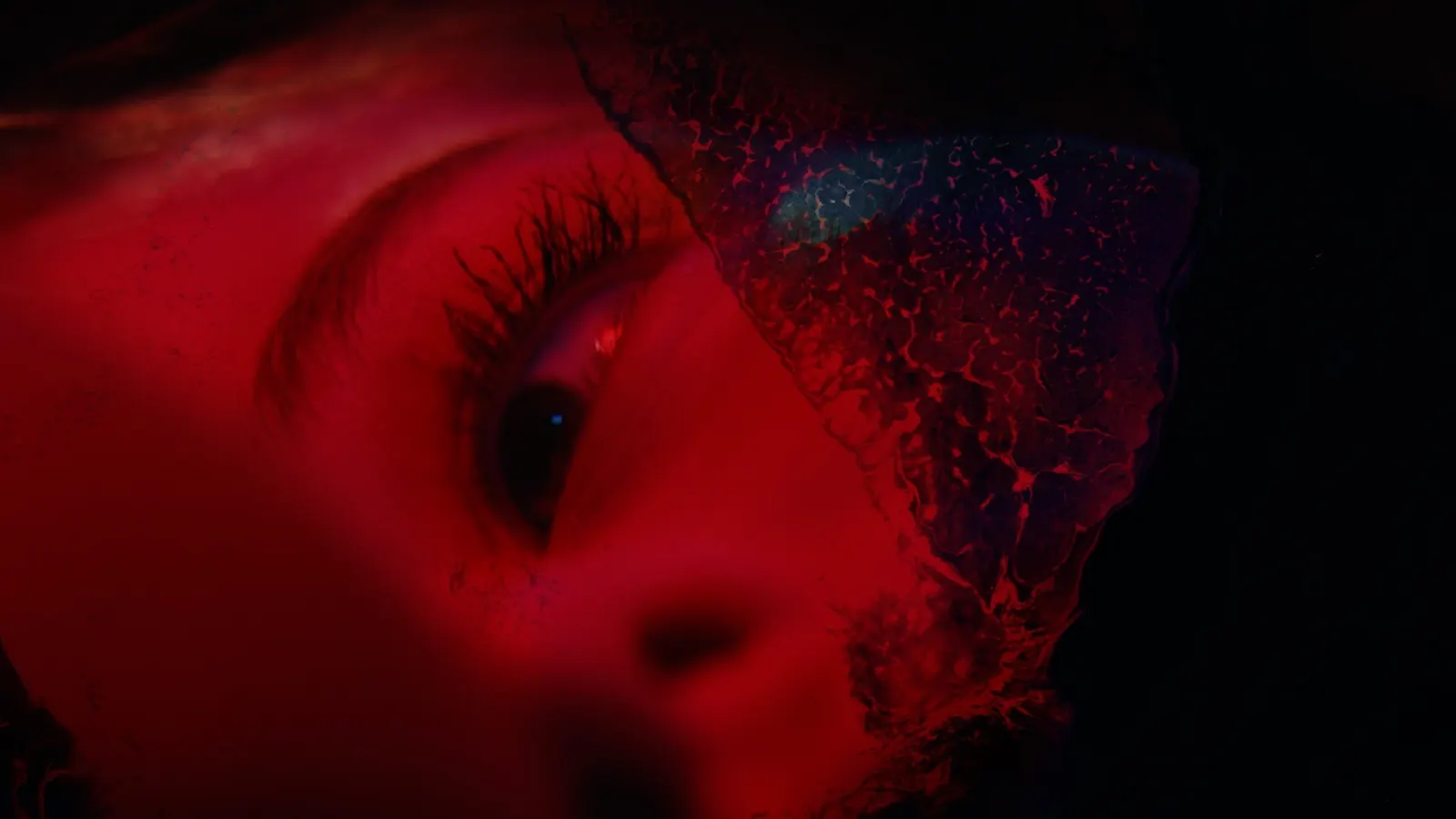 PRECOGNITION media 6