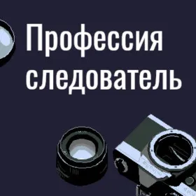 Обкладинка гри Profession investigator