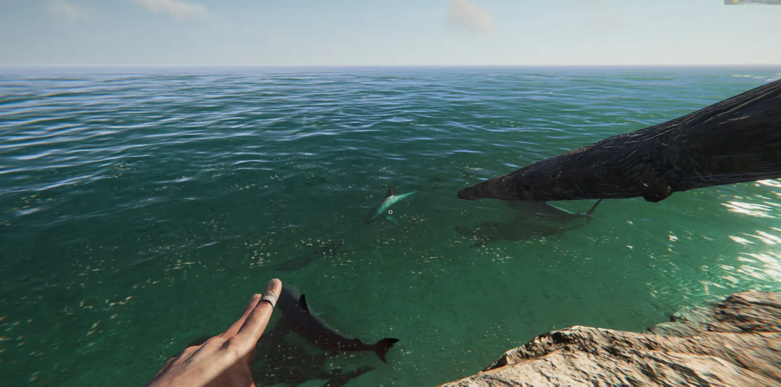 Project Castaway media 8