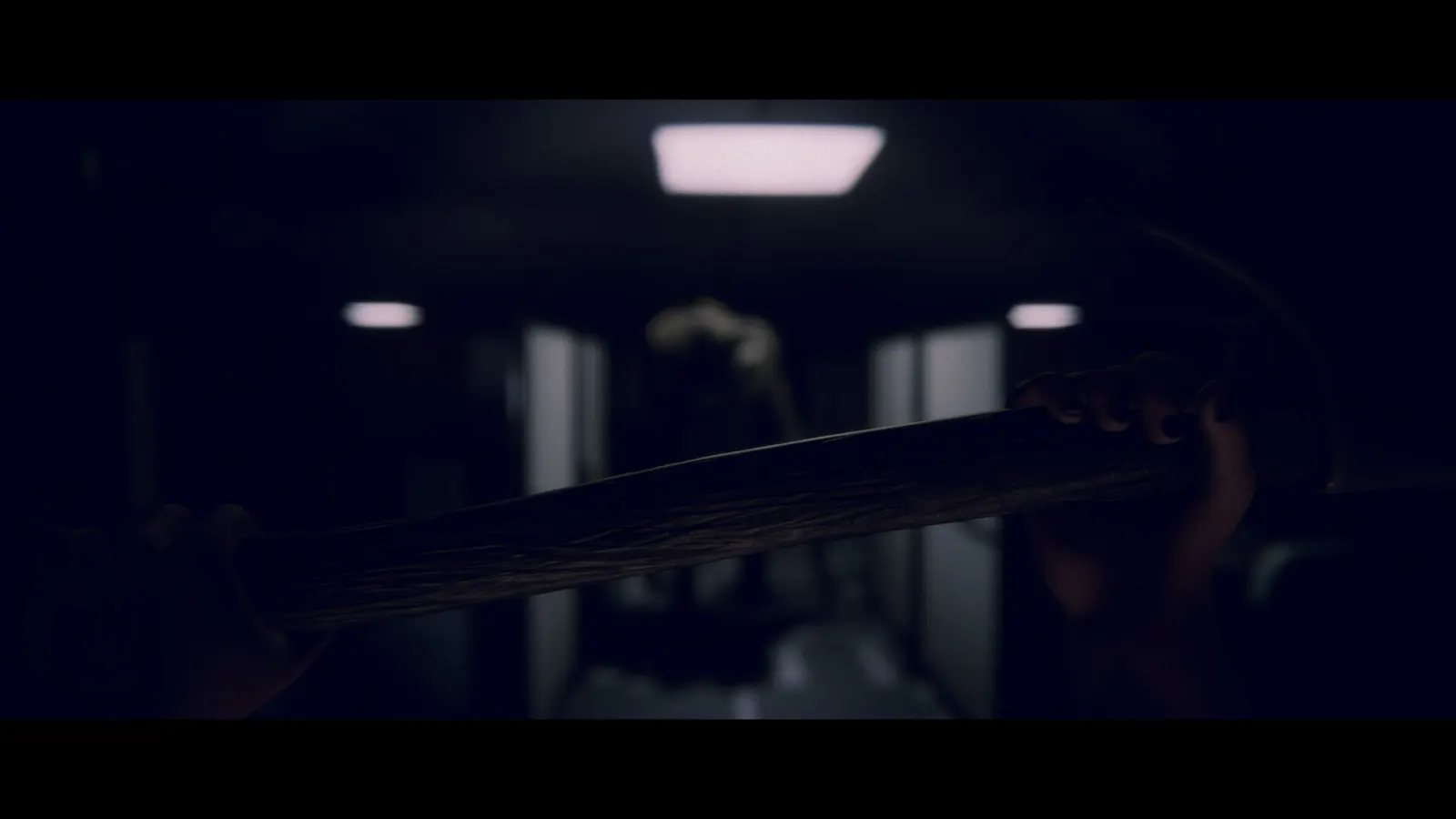 Project Songbird media 7