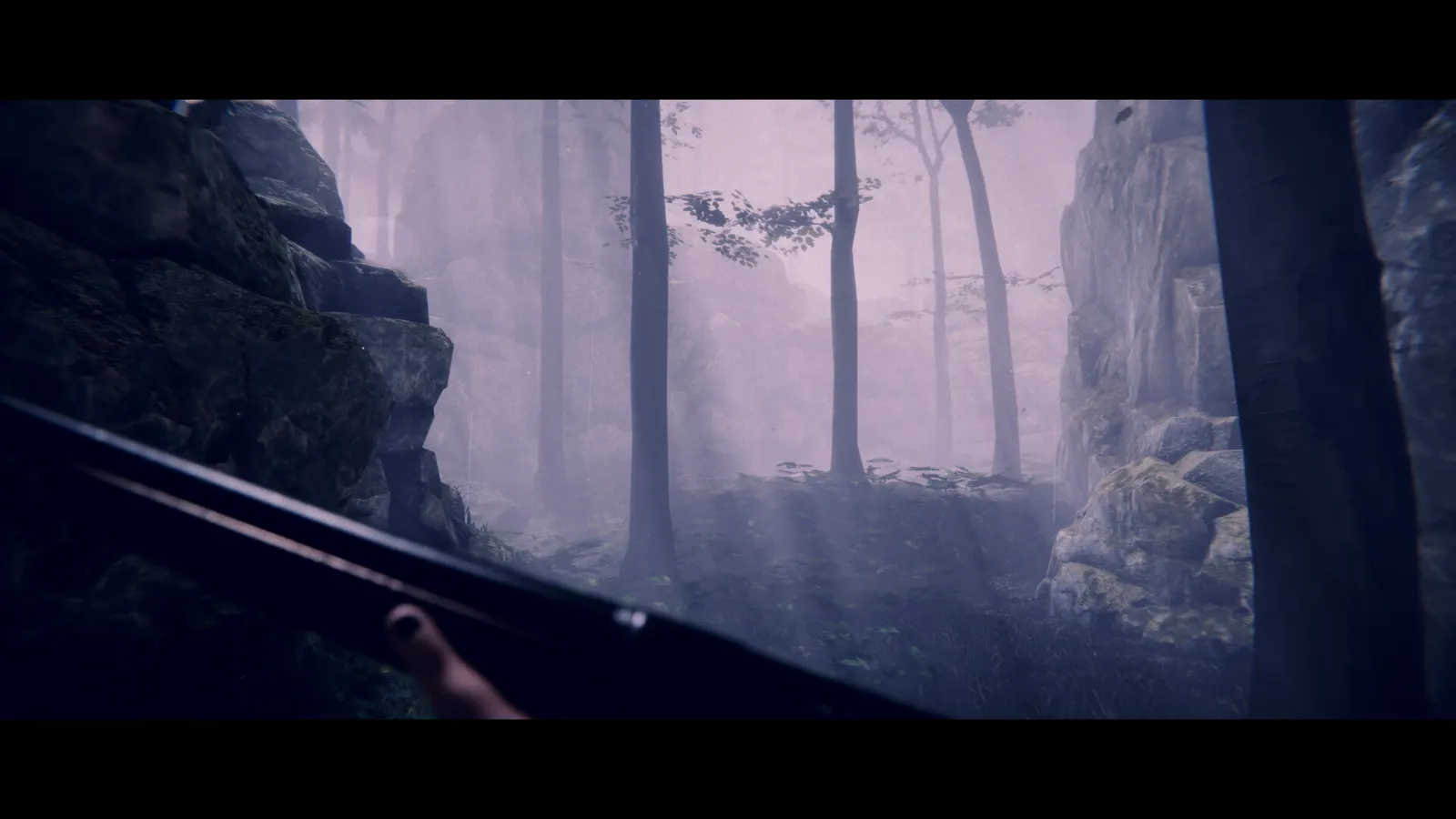 Project Songbird media 8