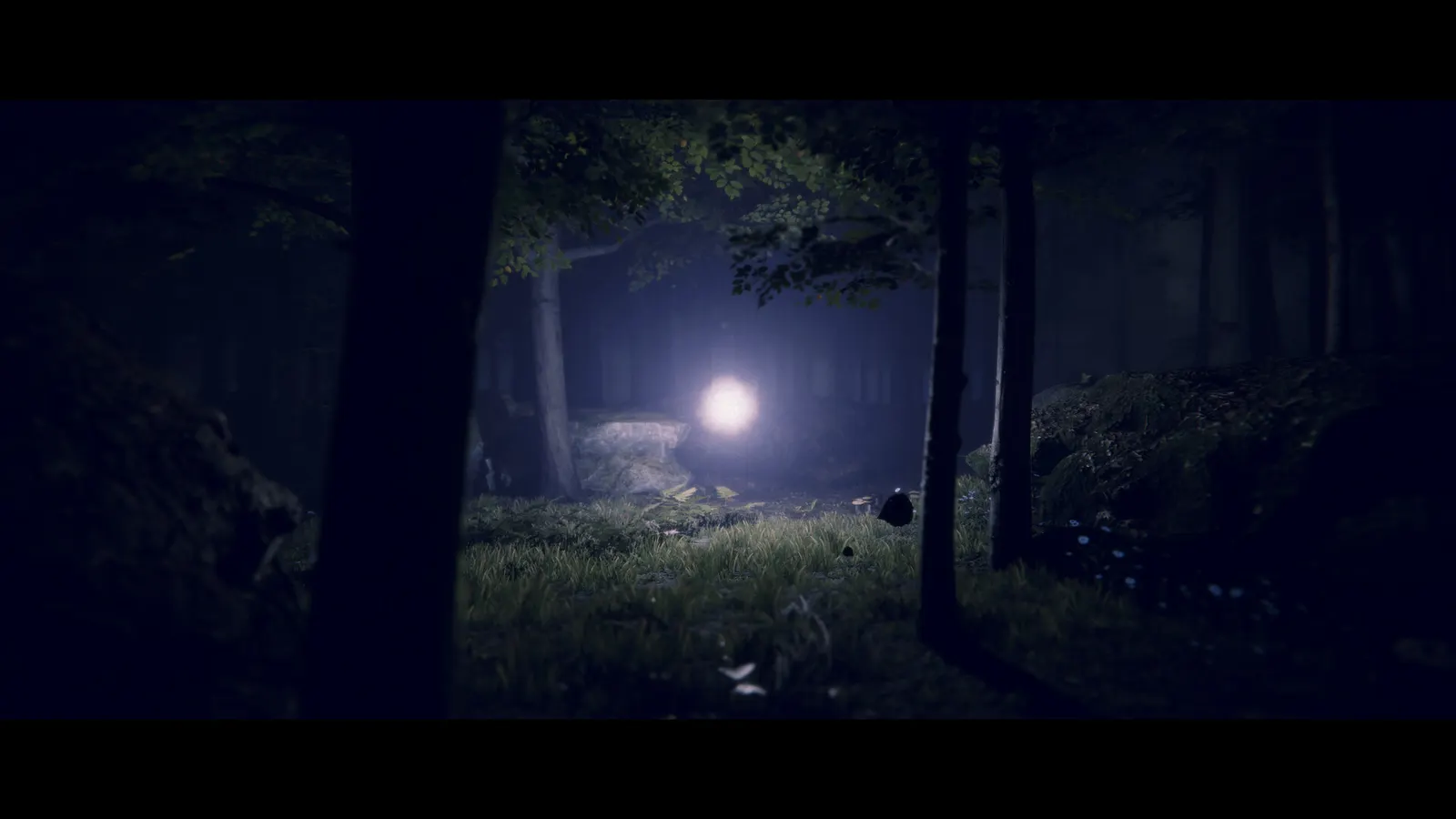 Project Songbird media 10