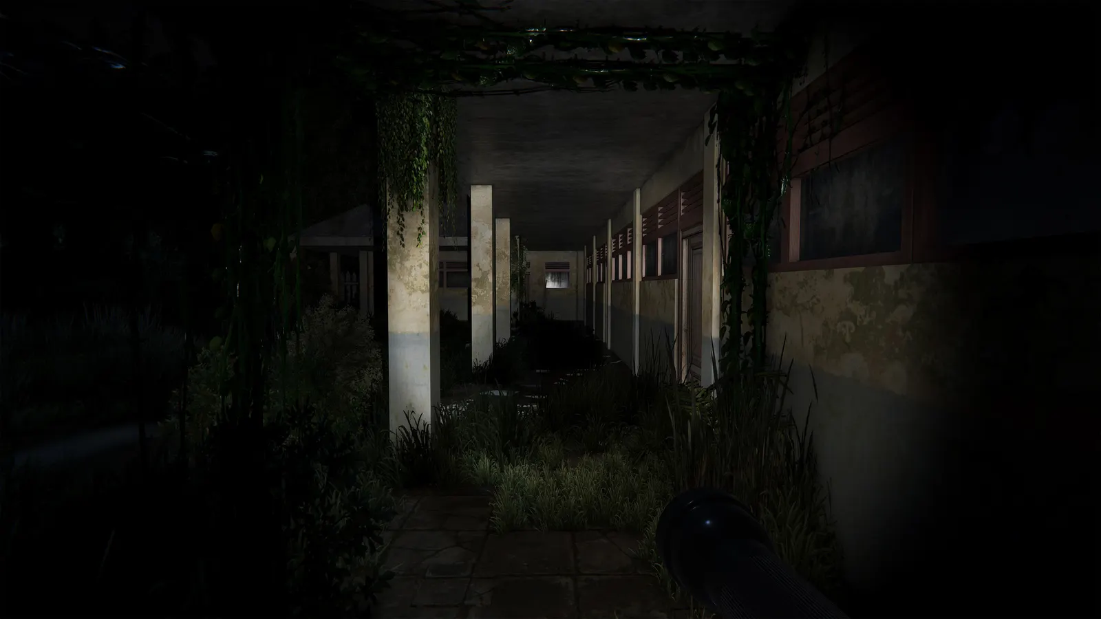 Pulang Insanity - Director's Cut media 7
