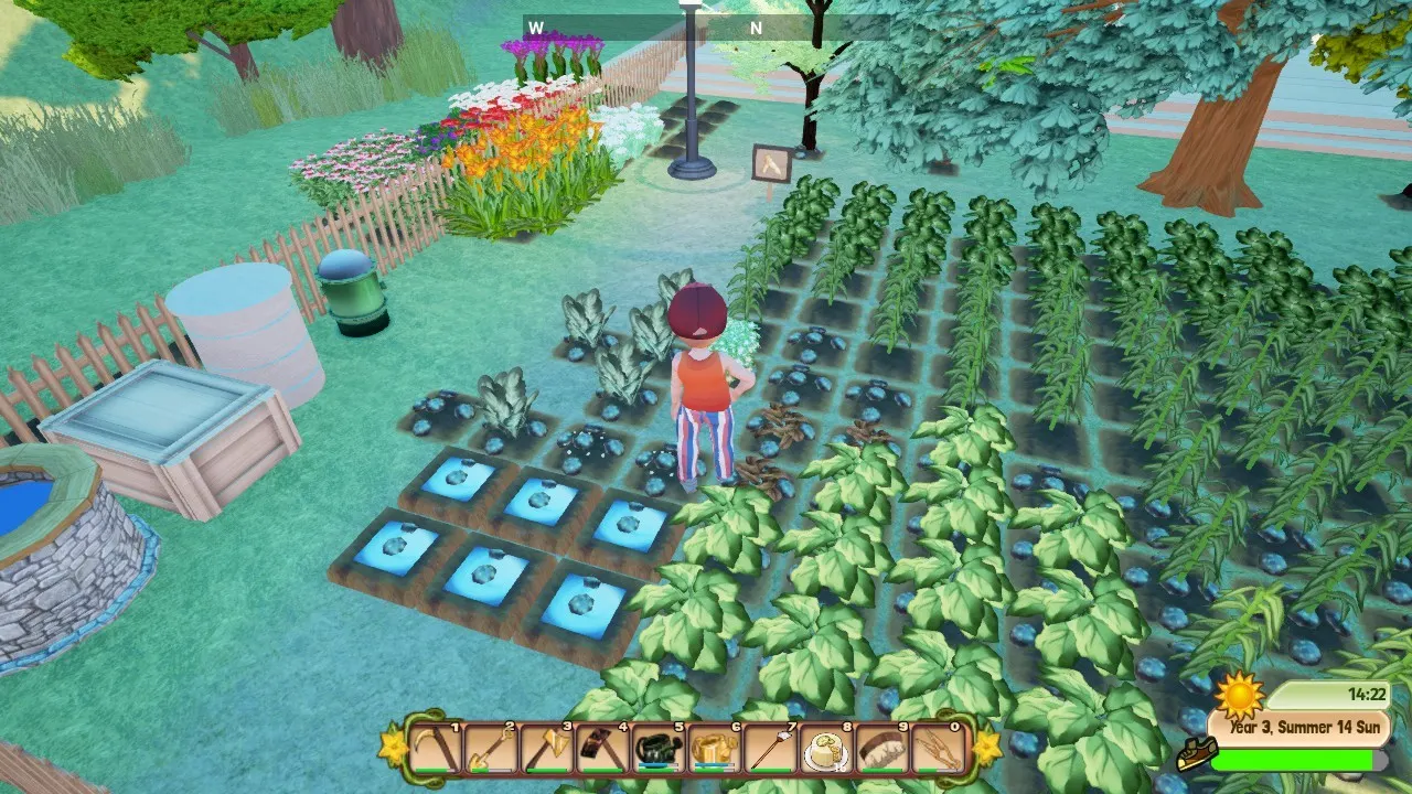 Pumpkin Days media 3
