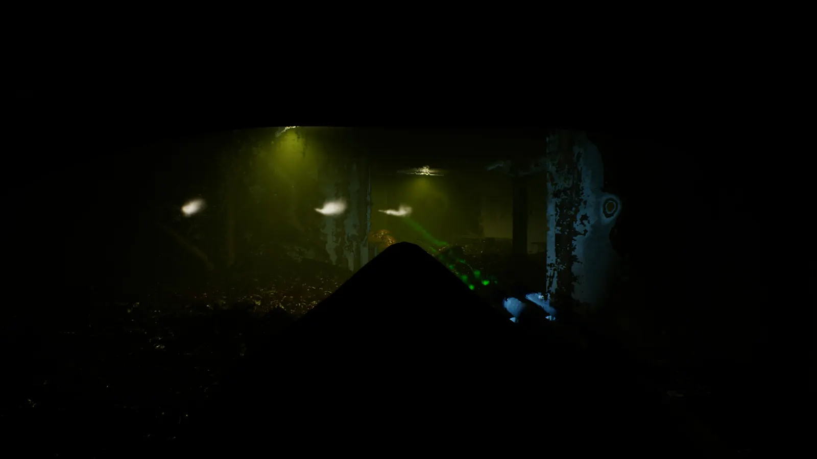Pyramis media 14