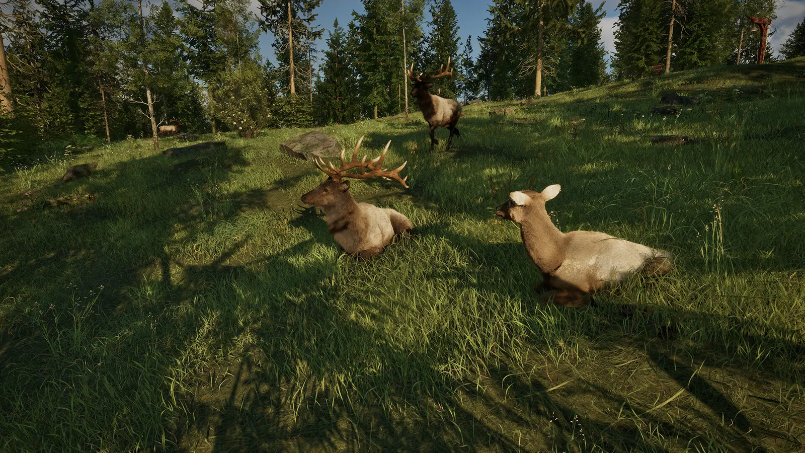 Ranger’s Path: National Park Simulator media 10