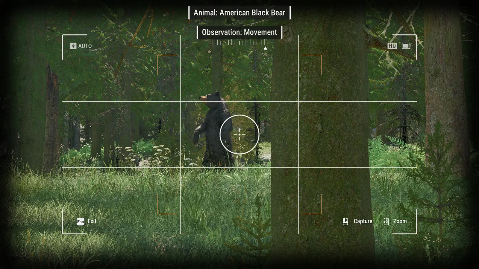 Ranger’s Path: National Park Simulator media 14