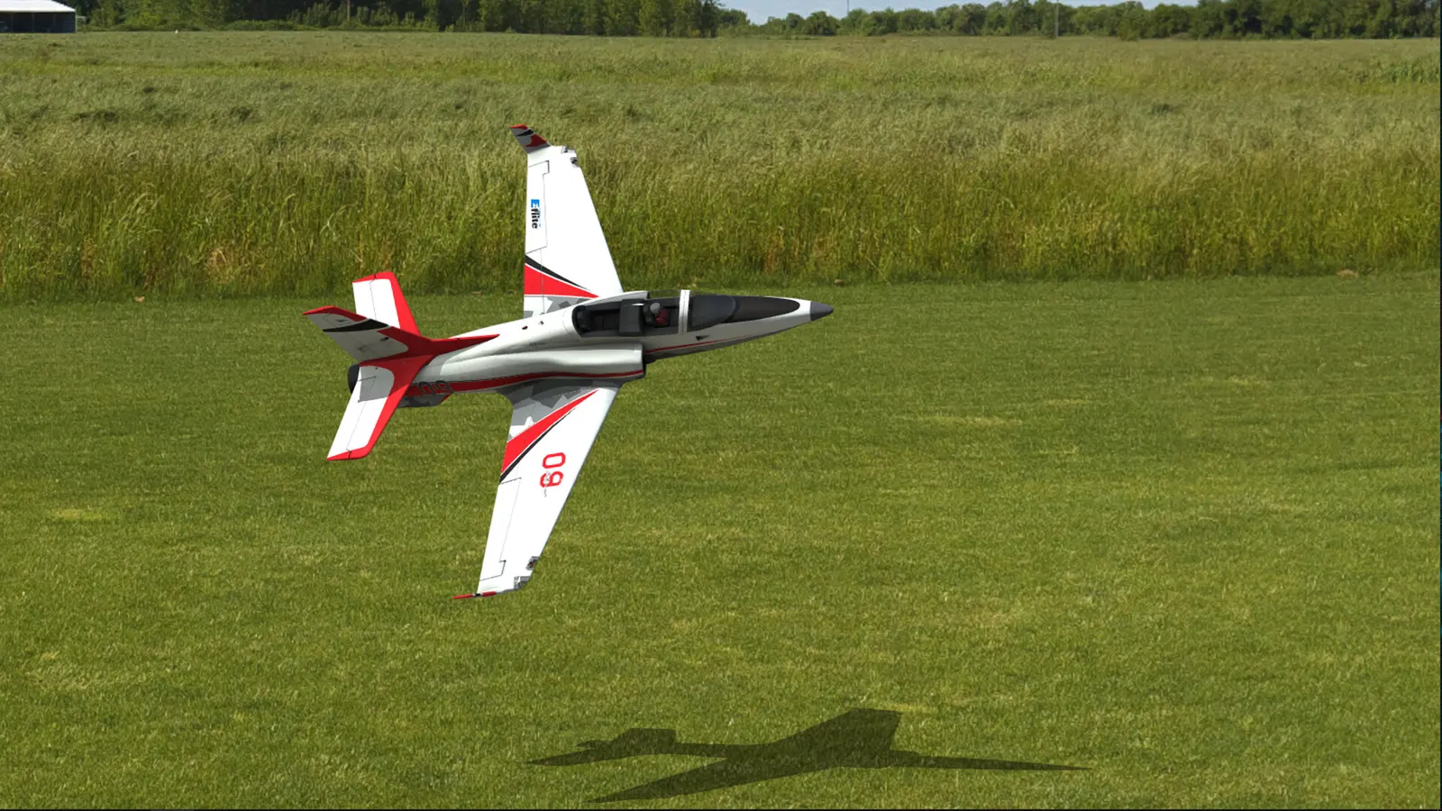RealFlight Evolution media 6