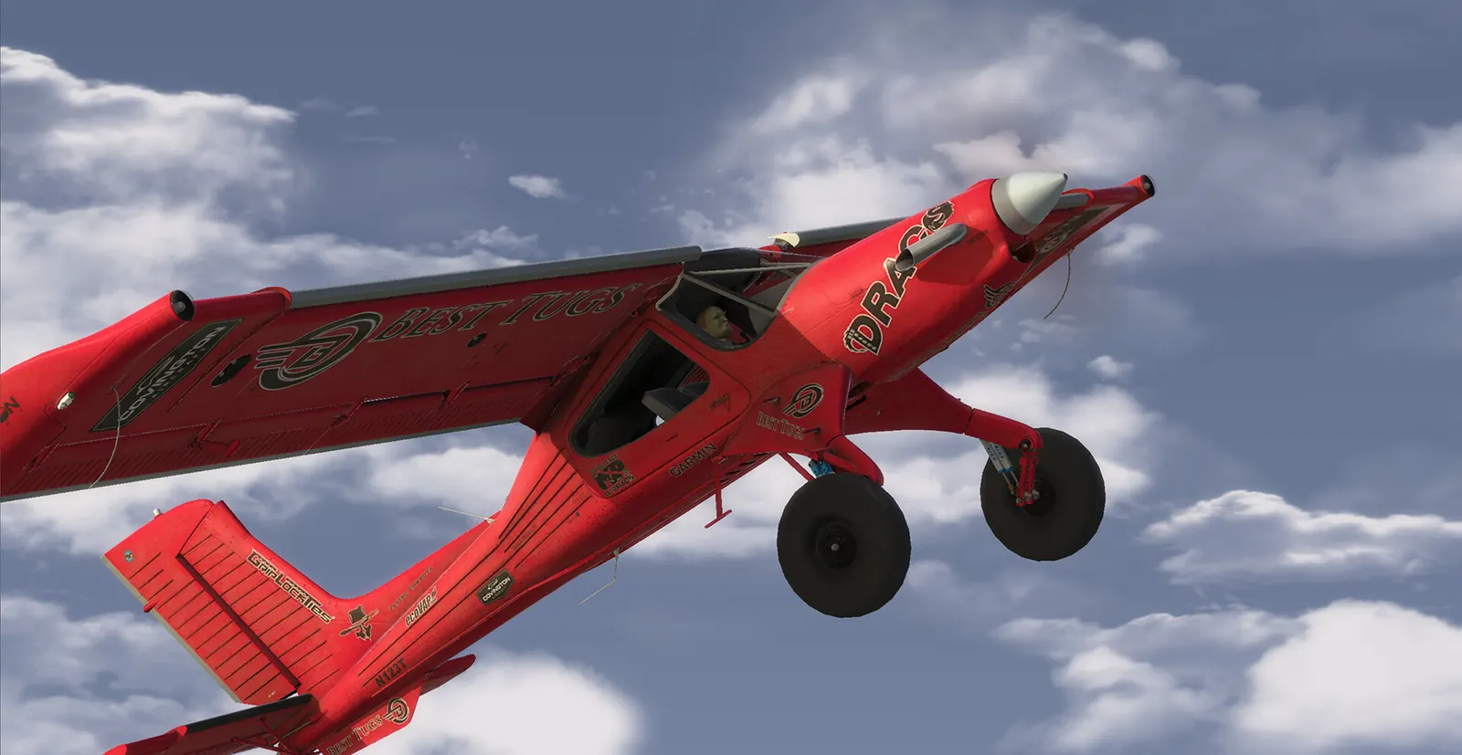 RealFlight Evolution media 10