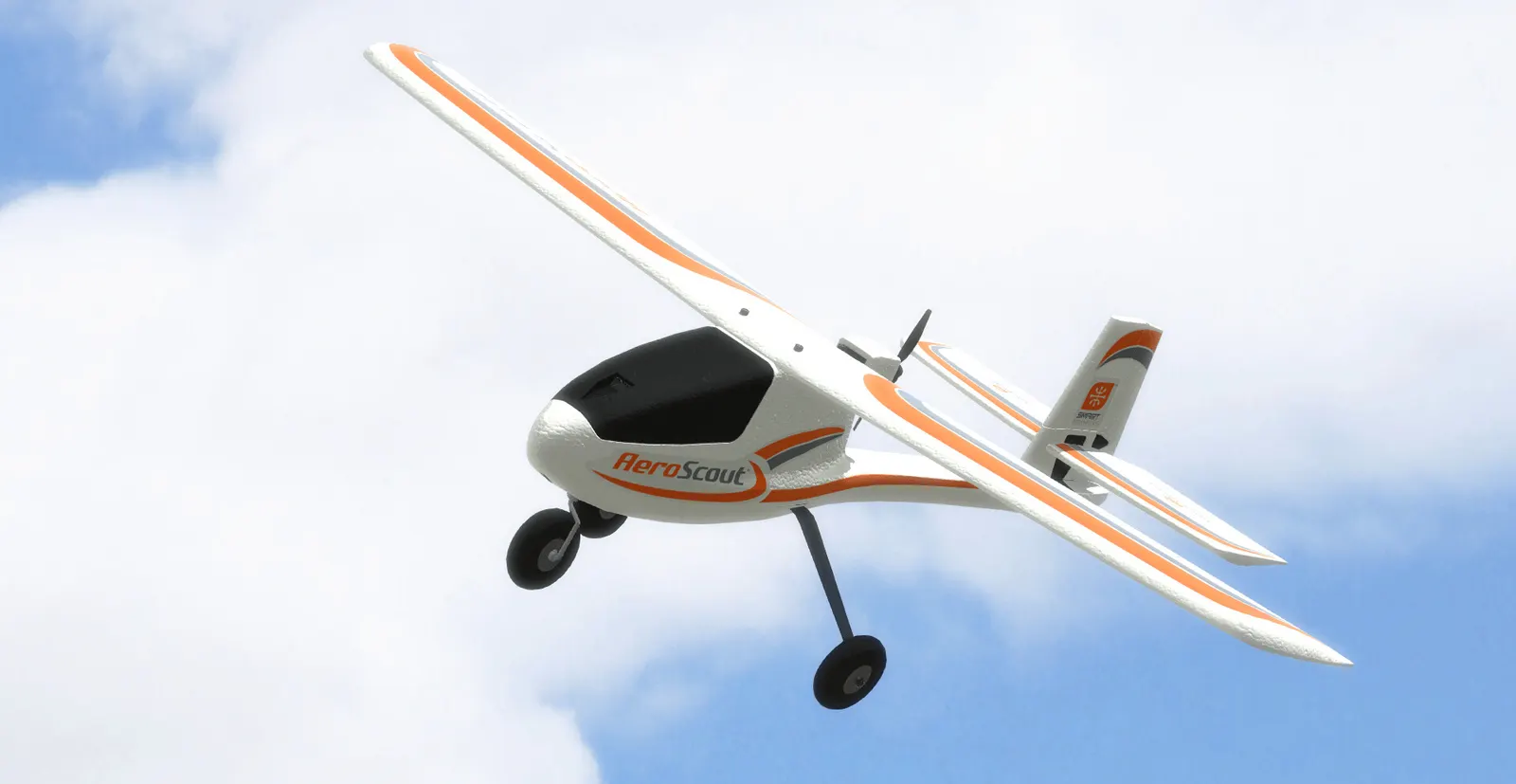 RealFlight Evolution media 13