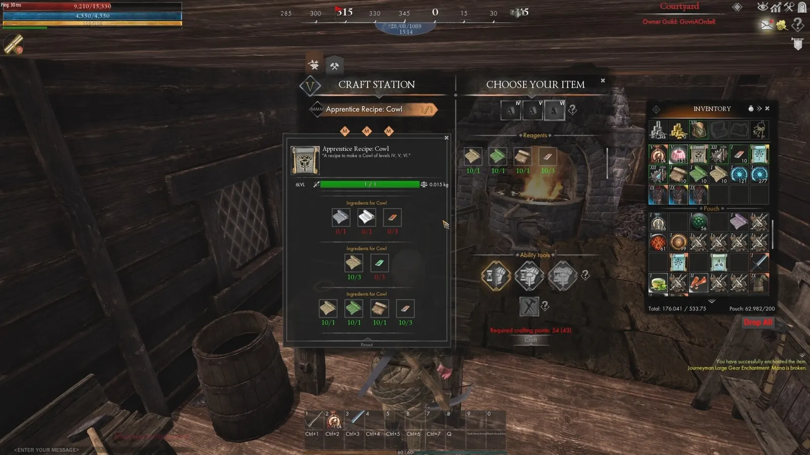 Reign of Guilds media 15