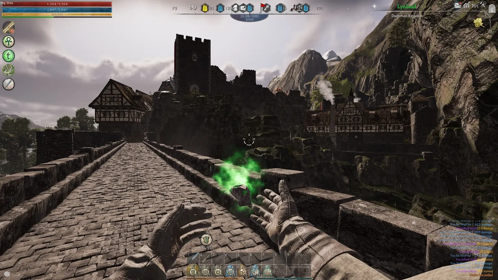 Reign of Guilds media 17