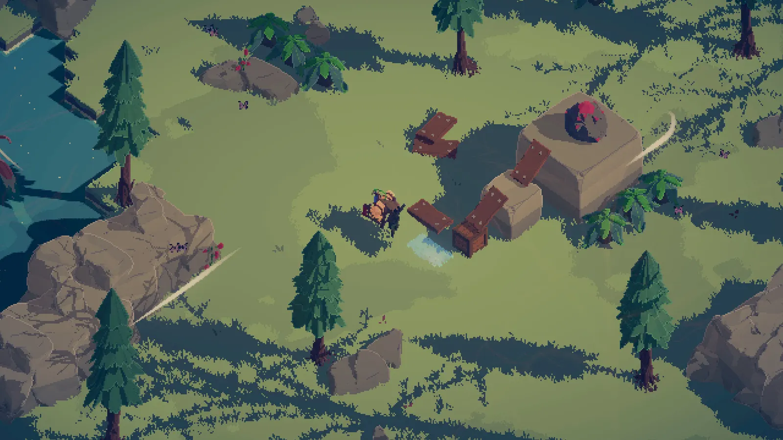 Rootbound media 8