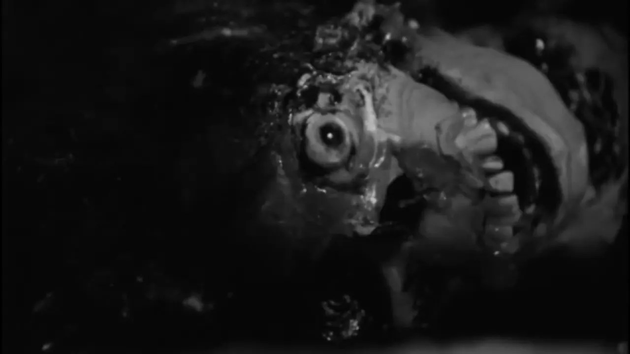ROUGH KUTS: Night of the Living Dead media 13