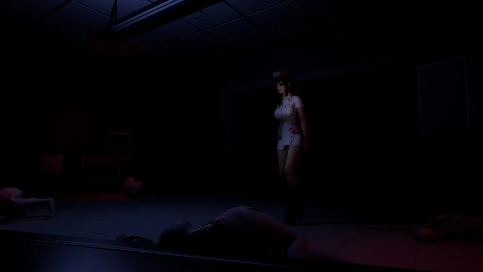Ruined Nurse media 2