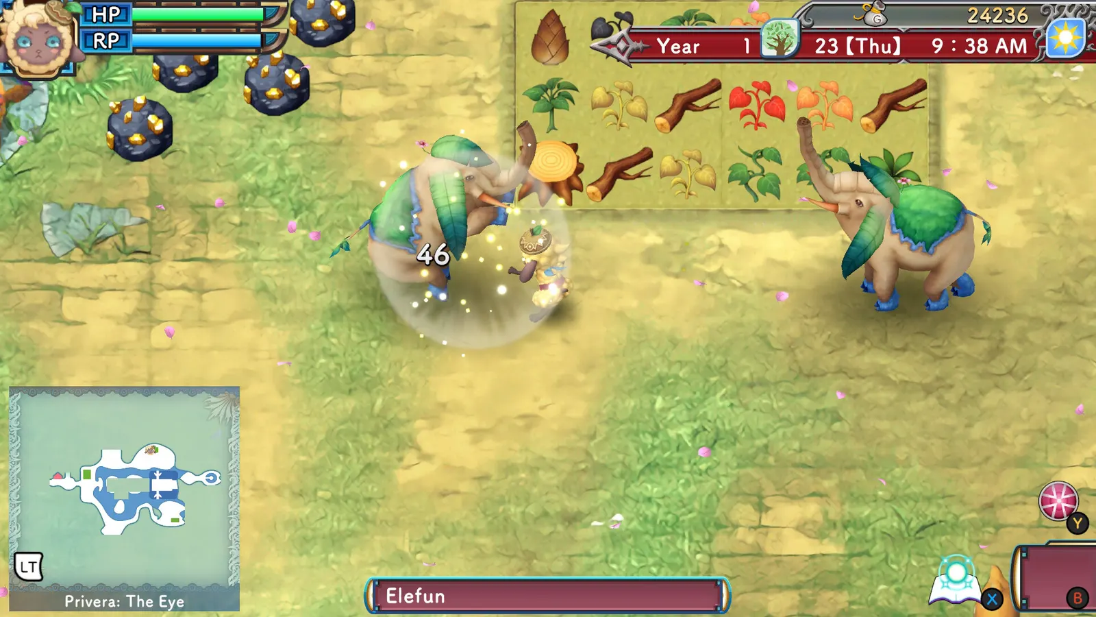 Rune Factory 3 Special media 9
