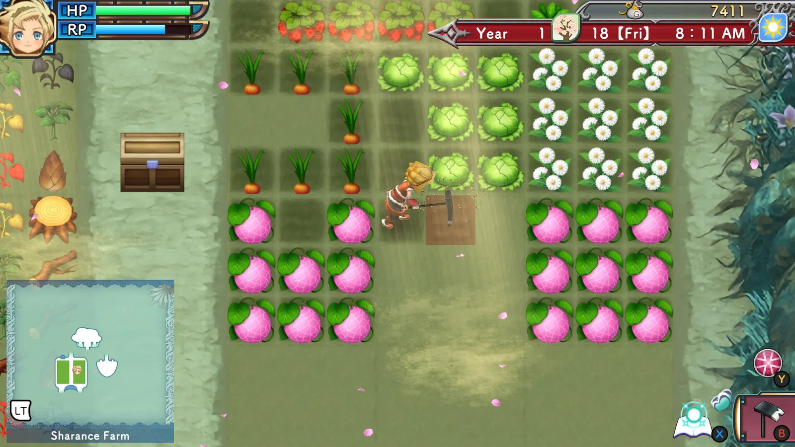 Rune Factory 3 Special media 13