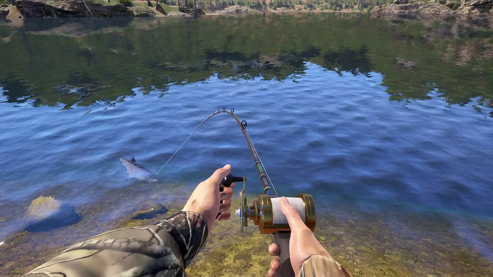 Russian Fishing 4 media 25
