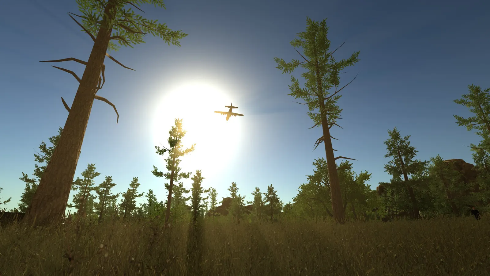 Rust media 7