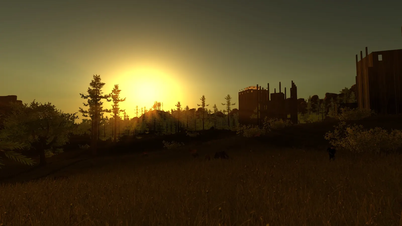 Rust media 9