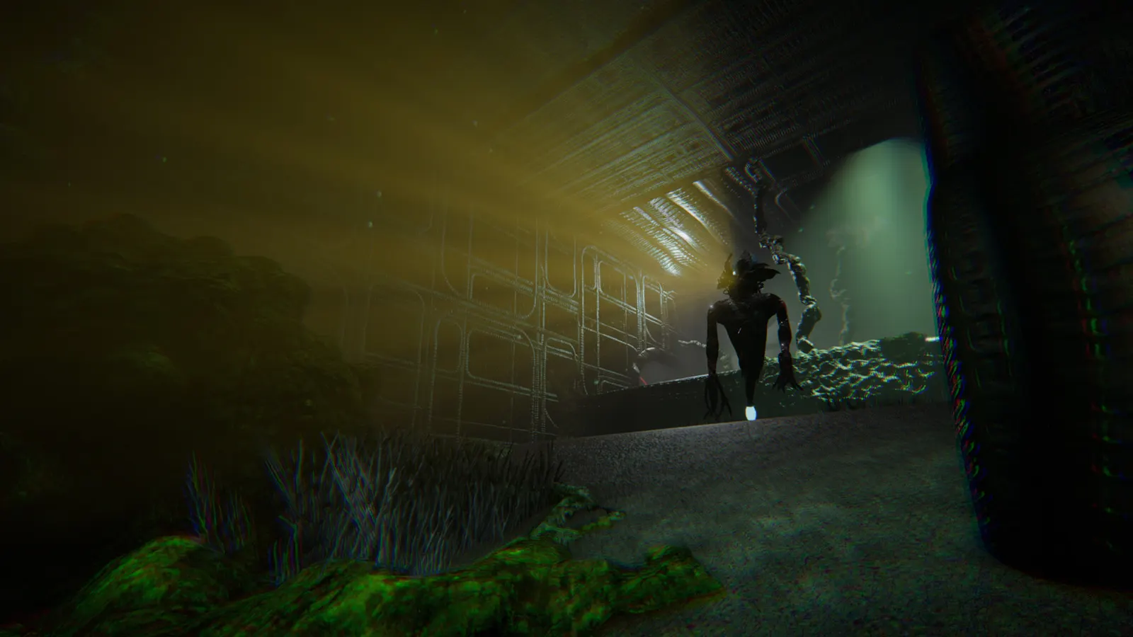 Sanity of Morris media 3