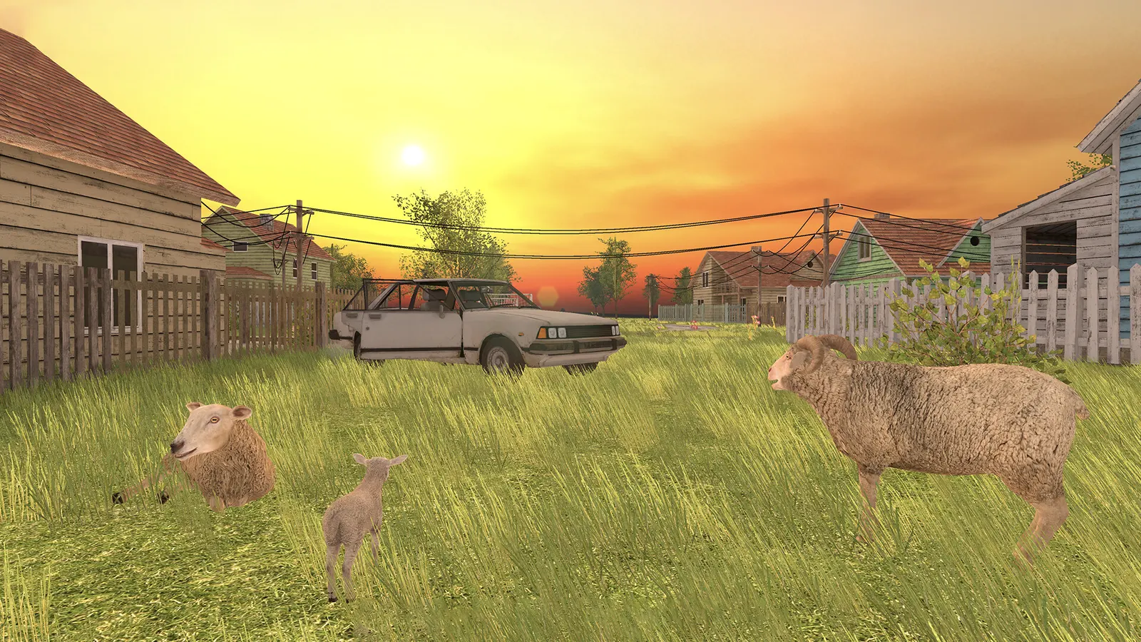 SchoolBoy OutDoors media 9