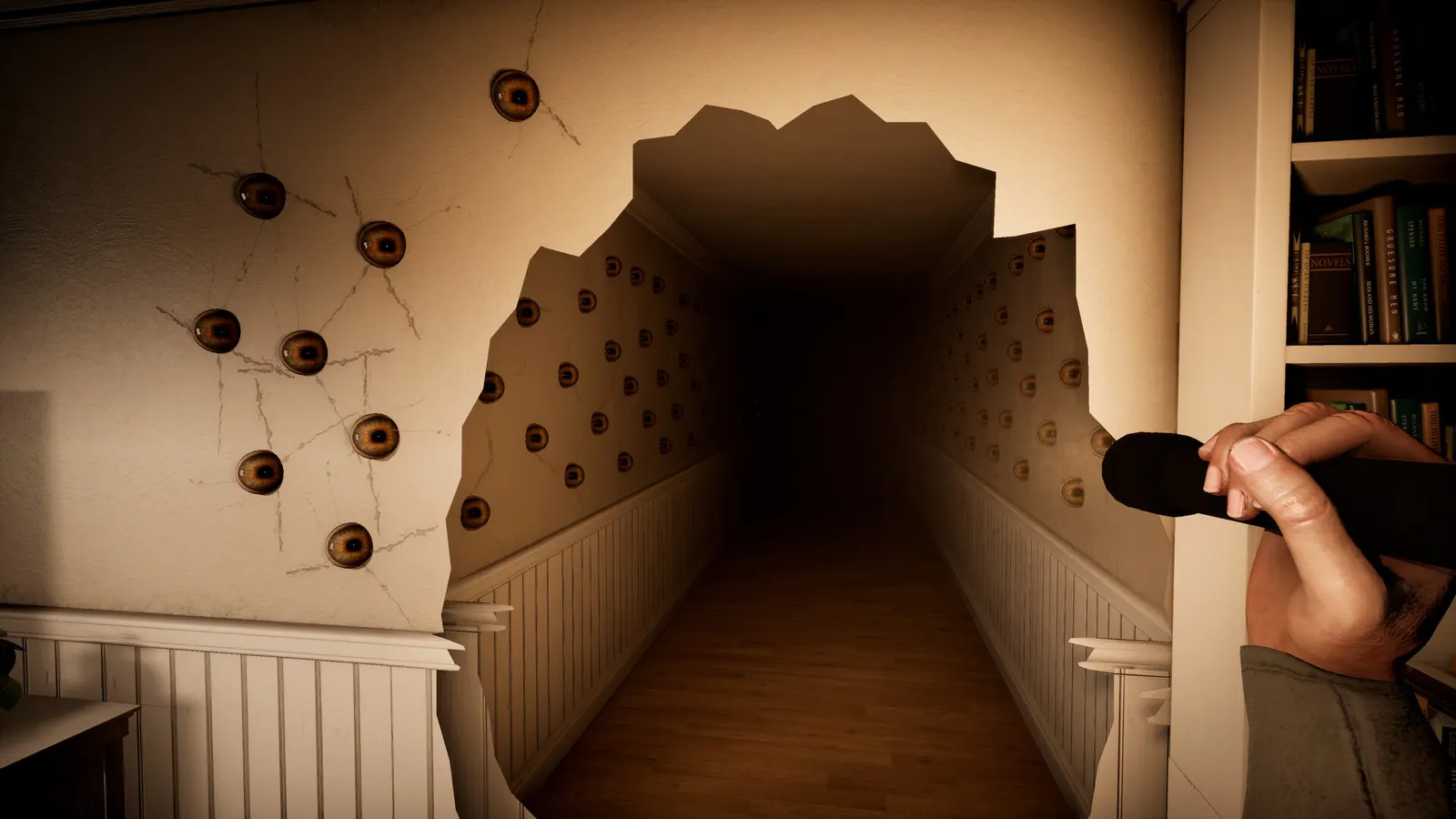 Scotophobia media 11