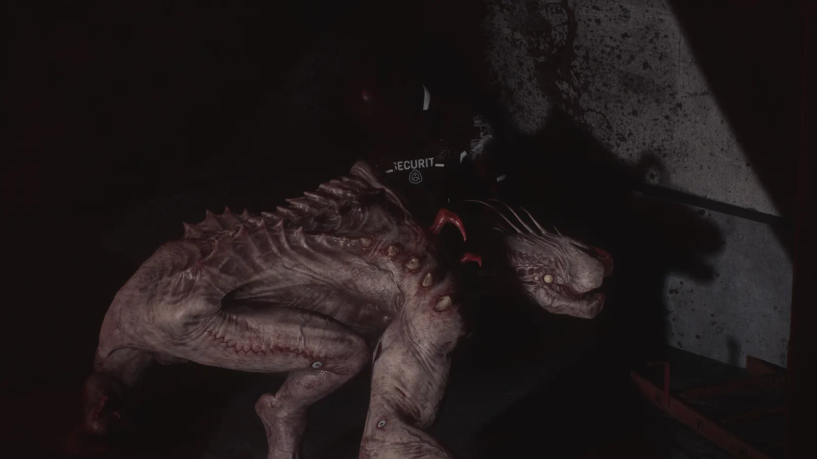 SCP: 5K media 11