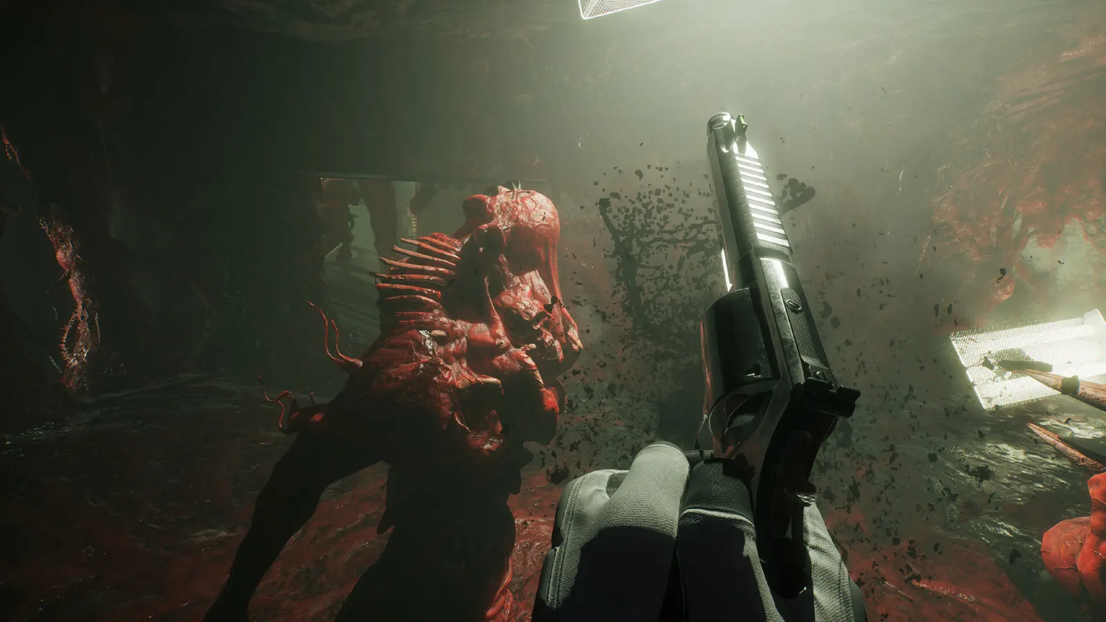 SCP: 5K media 12