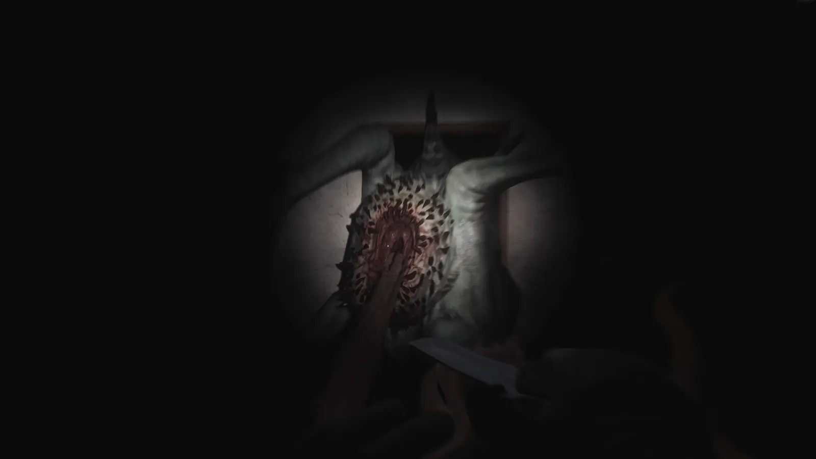 SCP: 5K media 13
