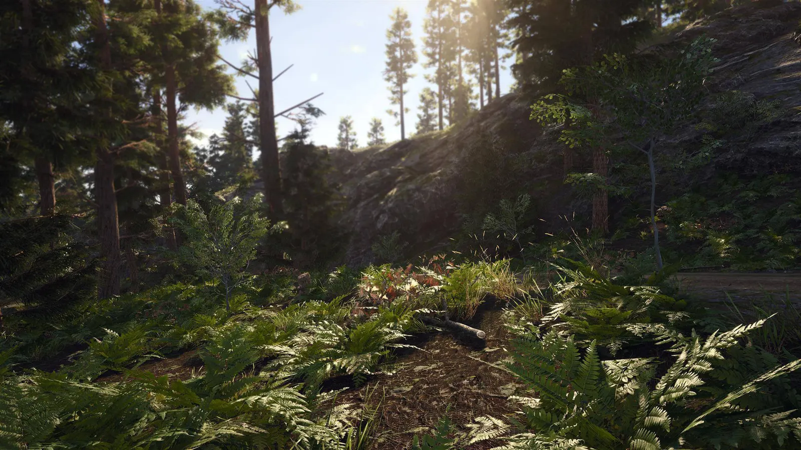 SCUM media 19