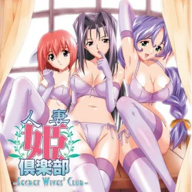 Обкладинка гри Secret Wives Club