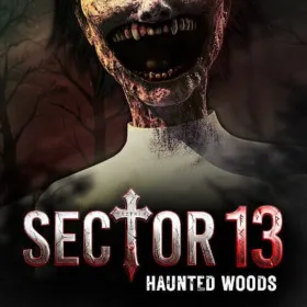 Обкладинка гри Sector 13: Haunted Woods
