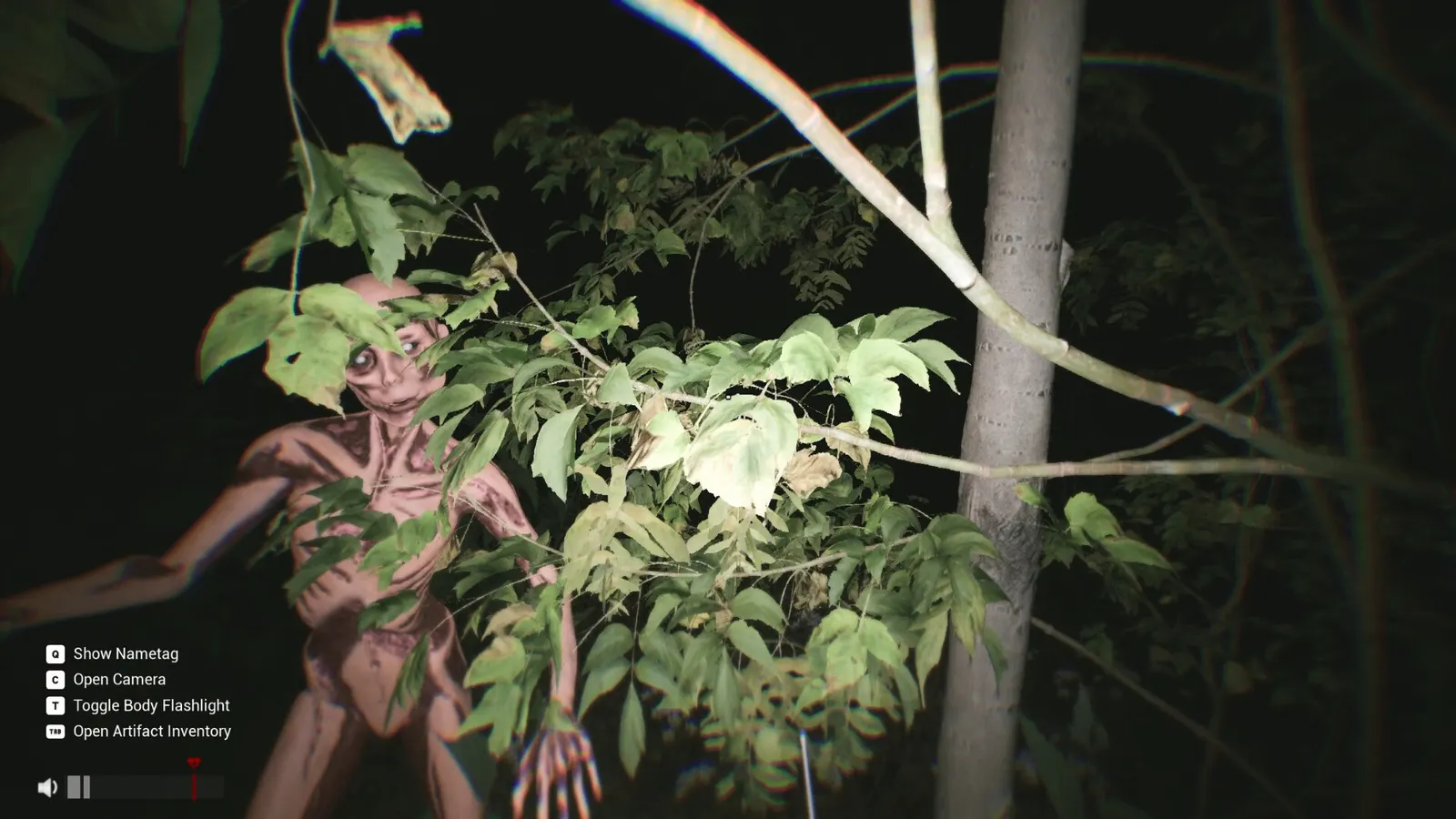 Sector 13: Haunted Woods media 12