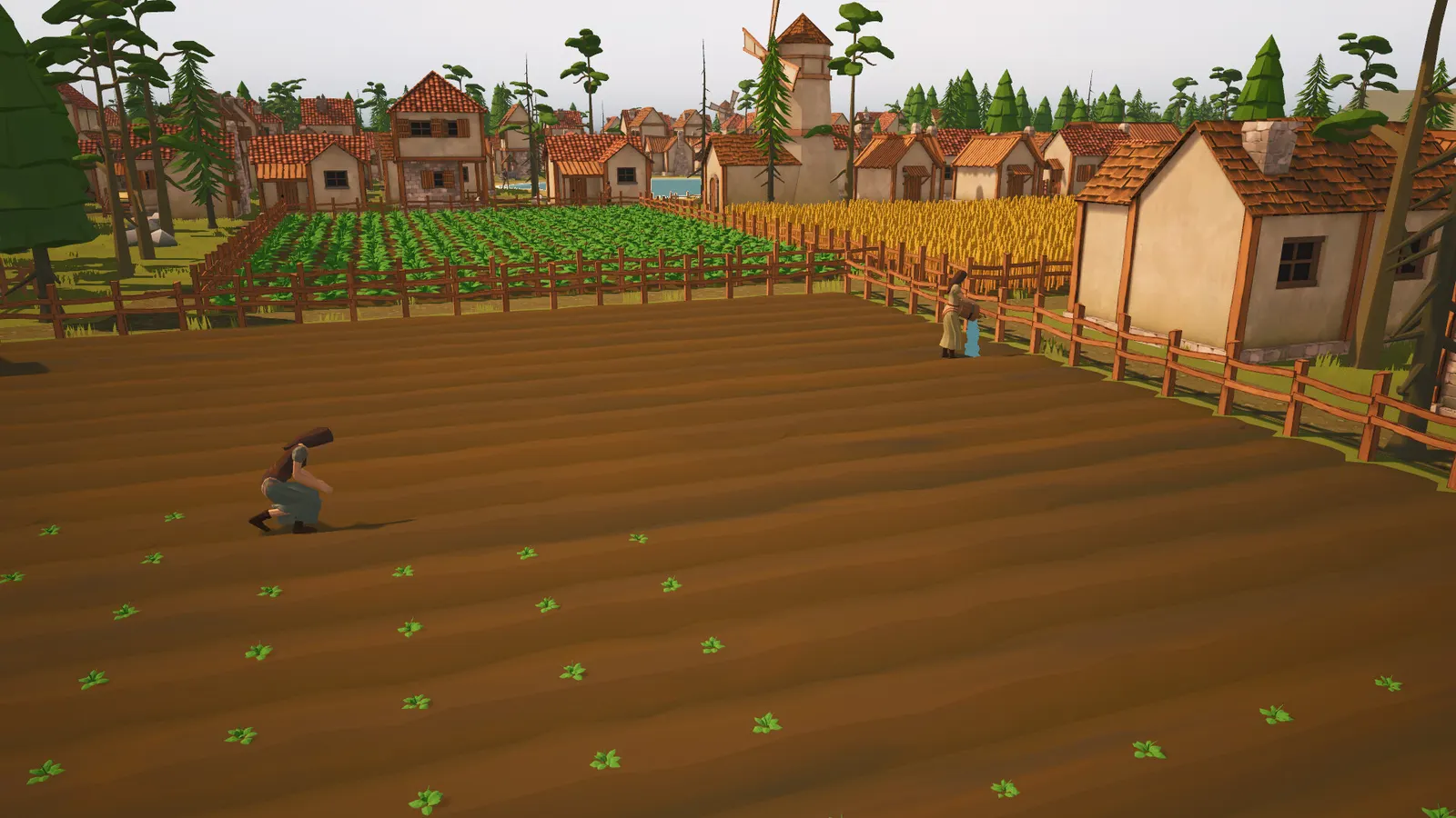 Settlements Rising media 13