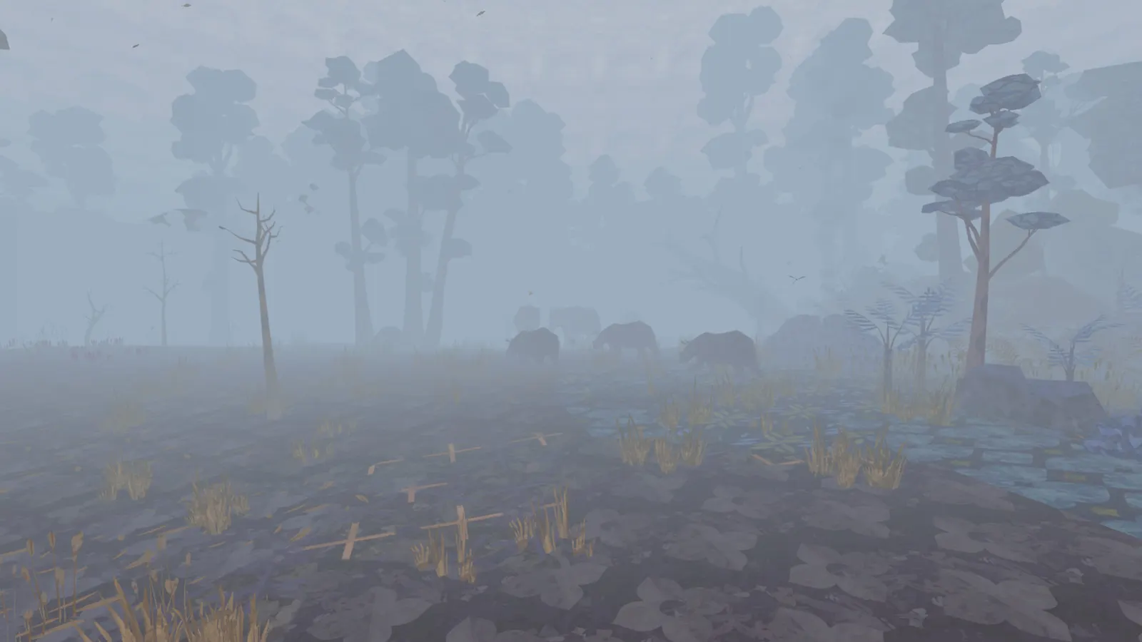 Shelter 3 media 6