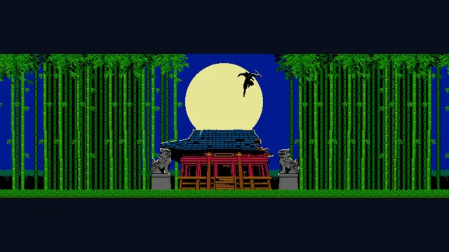 SHINOBI NON GRATA