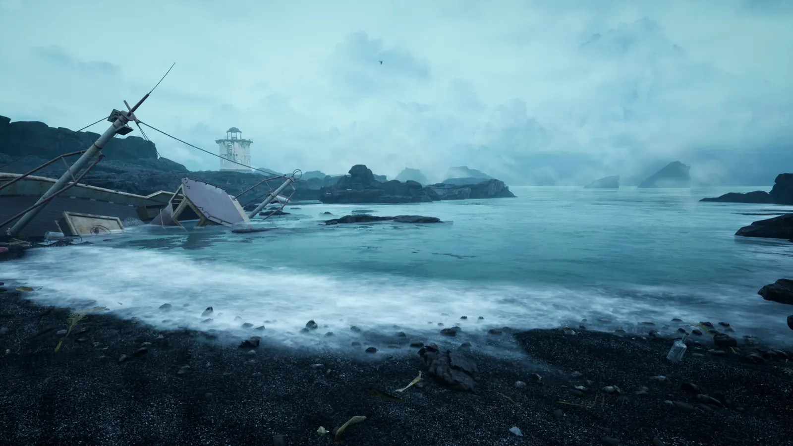 The Shore media 3