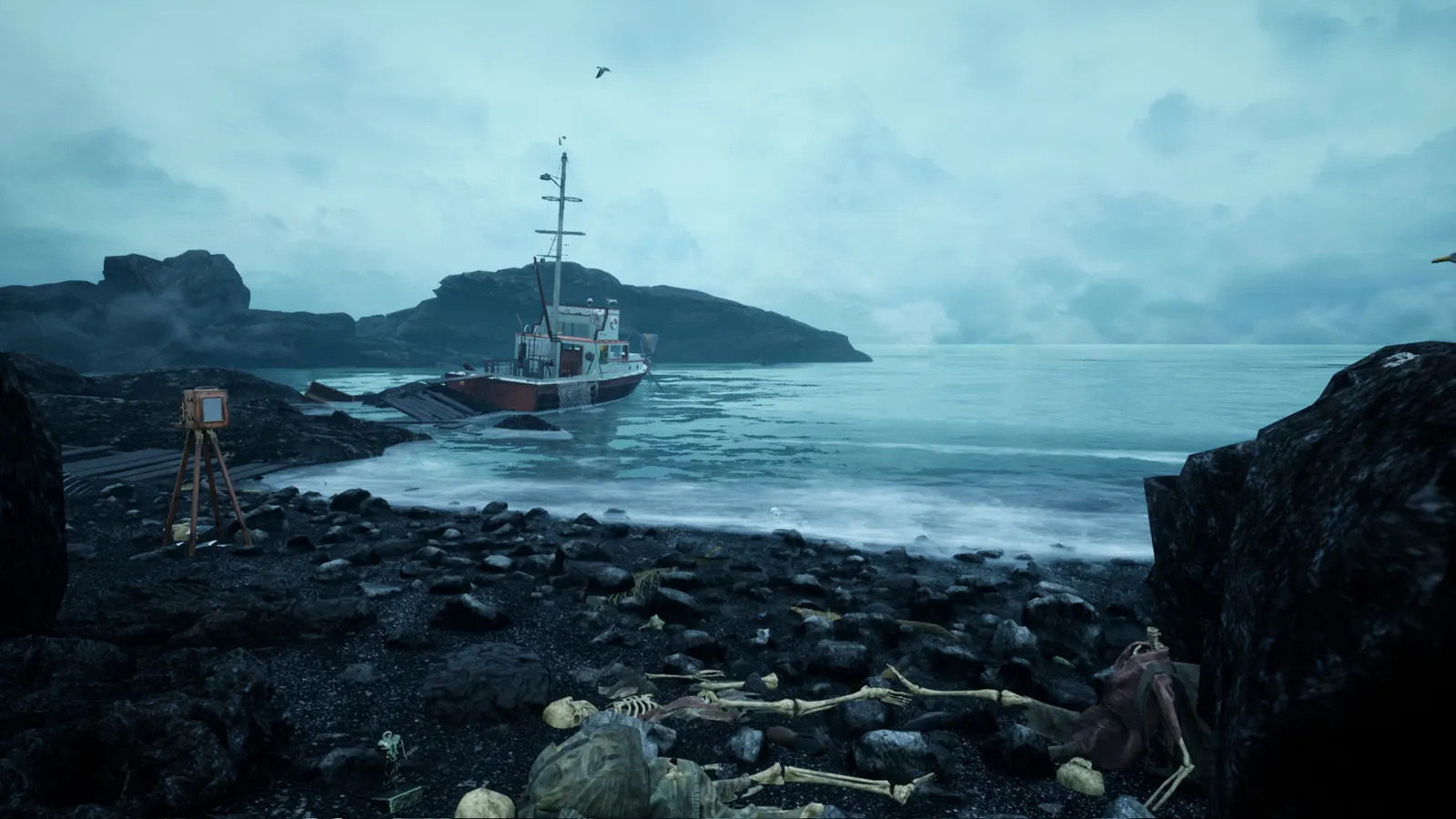 The Shore media 8
