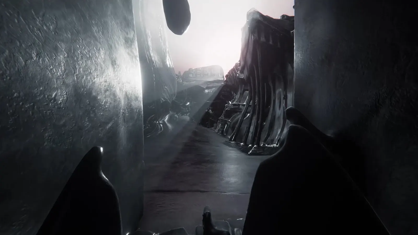 The Signifier Director's Cut media 14