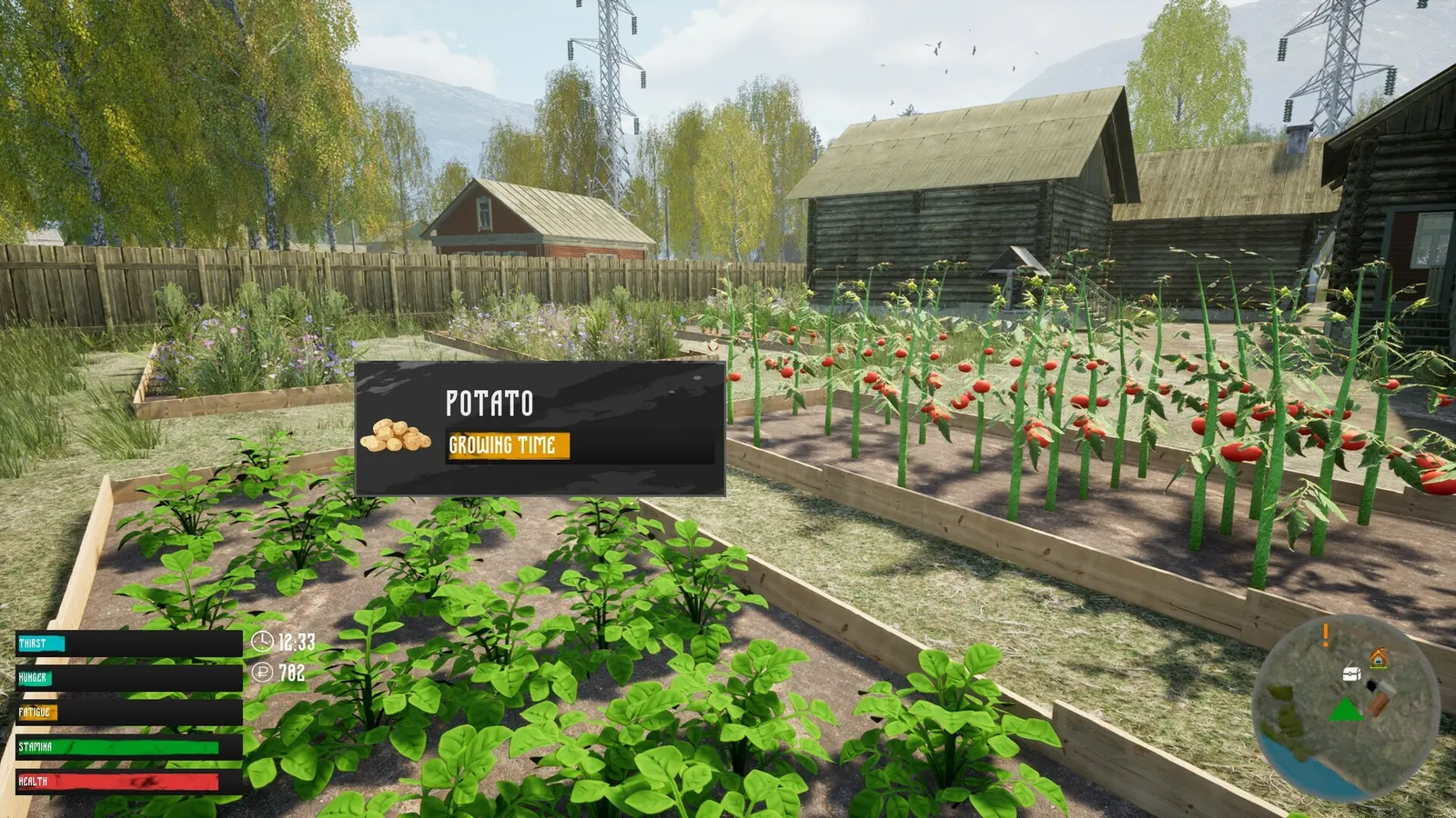 Russian Village Simulator media 8