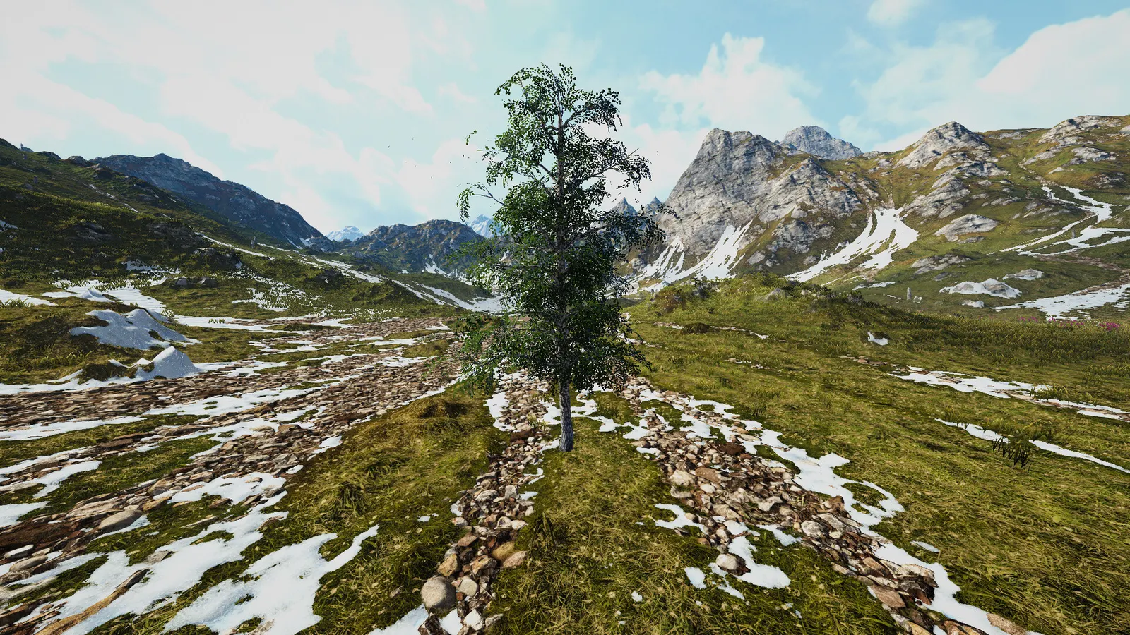 Birch Simulator media 2