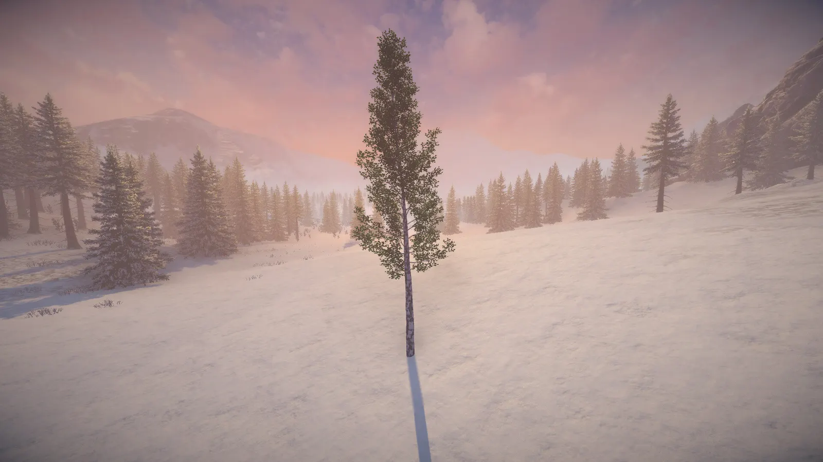 Birch Simulator media 6