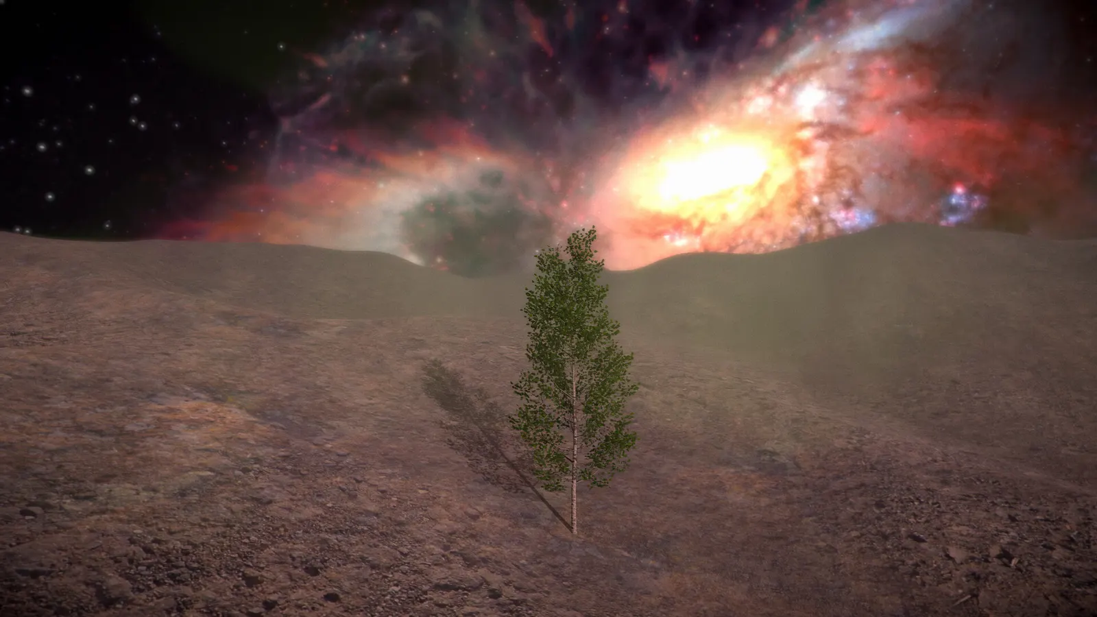 Birch Simulator media 7